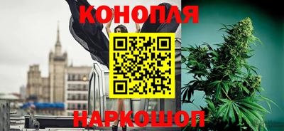 наркотики Камышлов