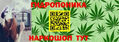 ГАЛЛЮЦИНОГЕННЫЕ ГРИБЫ Канаш