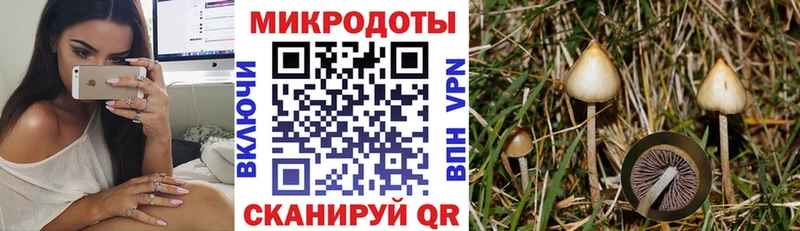kraken зеркало  Сухой Лог  Псилоцибиновые грибы мухоморы  дарнет шоп 