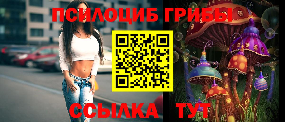 Галлюциногенные грибы Cubensis Сухой Лог