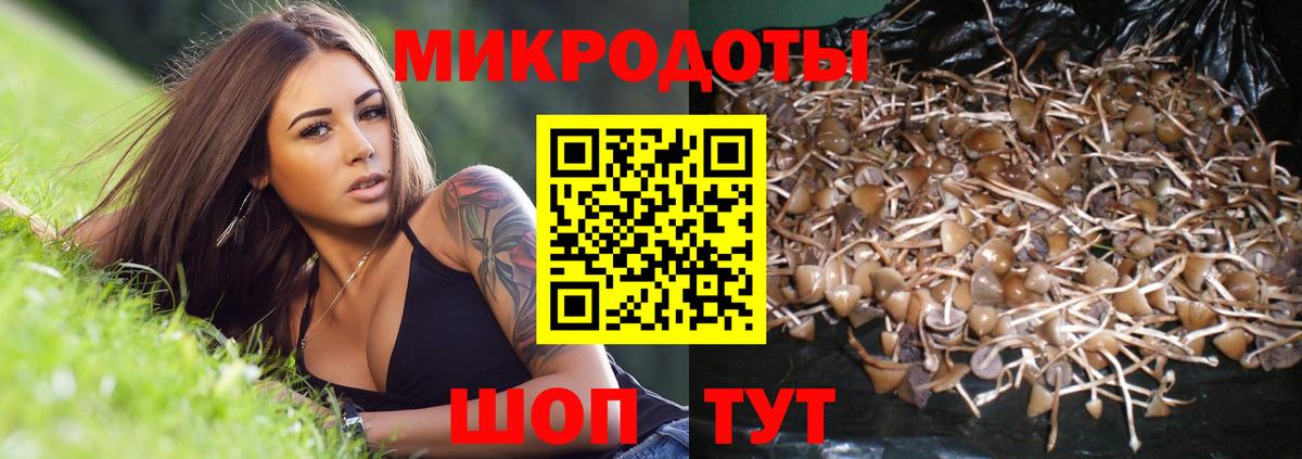 Сухой Лог  Псилоцибиновые грибы Magic Shrooms  Вход с VPN  цена   Галлюциногенные грибы мицелий 